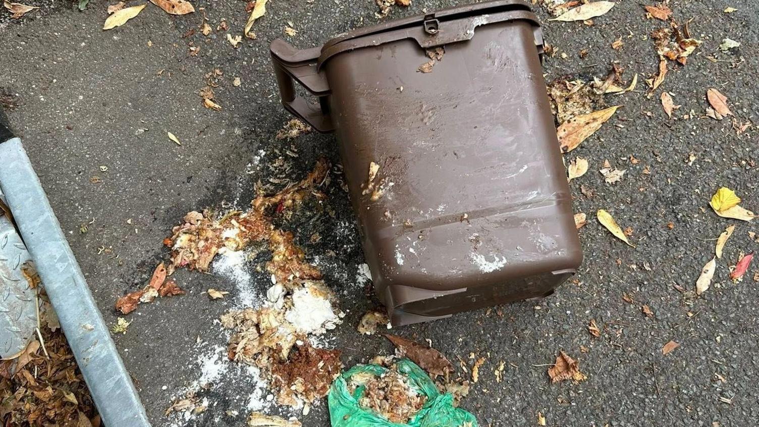 A battered brown caddie on a footpath with food waste and a green waste collection scattered alongside