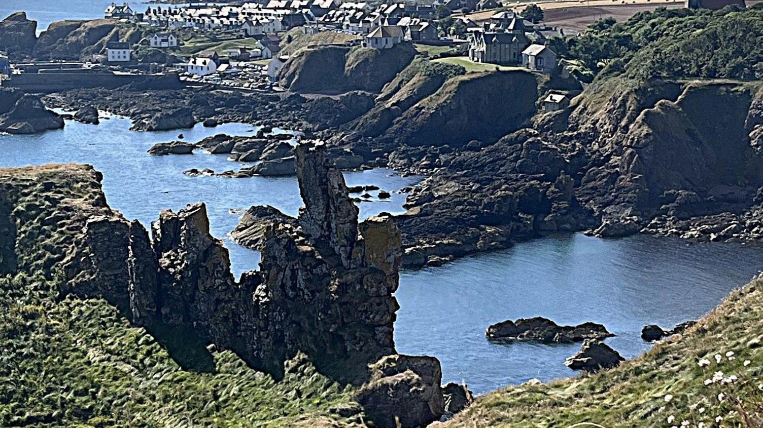 The Berwickshire coast