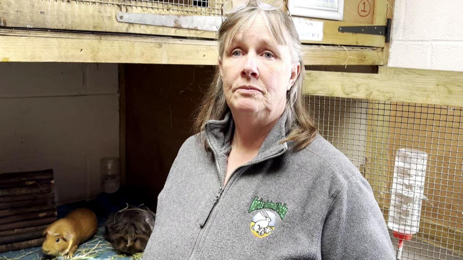 Maria Mulkeen stood in front of an animal house. She is middle aged with blonde hair. she is wearing a grey fleece with her shelter's green logo on it. 
Two guinea pigs can be seen in the hutch. one is blone, one is brown. 