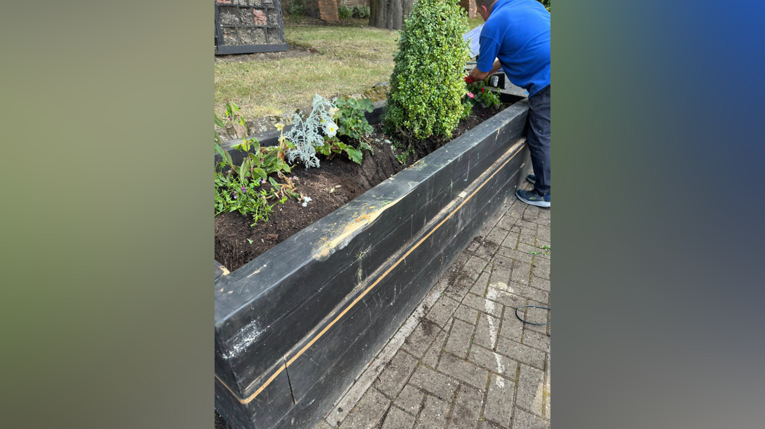 The wooden bench has fresh yellow marks where it has been put back together. A man wearing a blue top and jeans is planting flowers back into the soil.