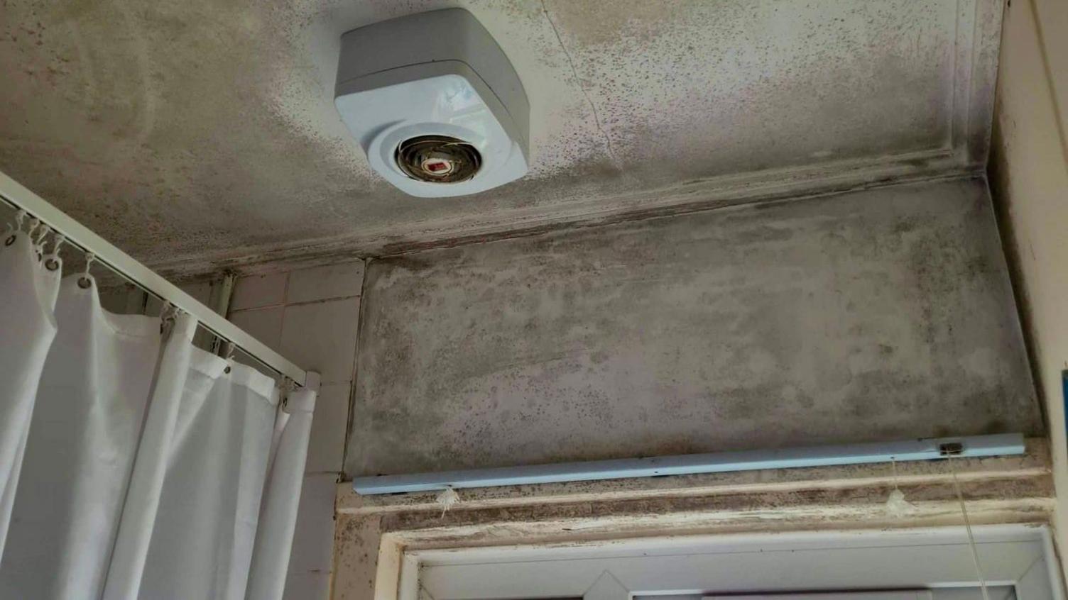 Mould marks above a window in a bathroom next to a shower curtain