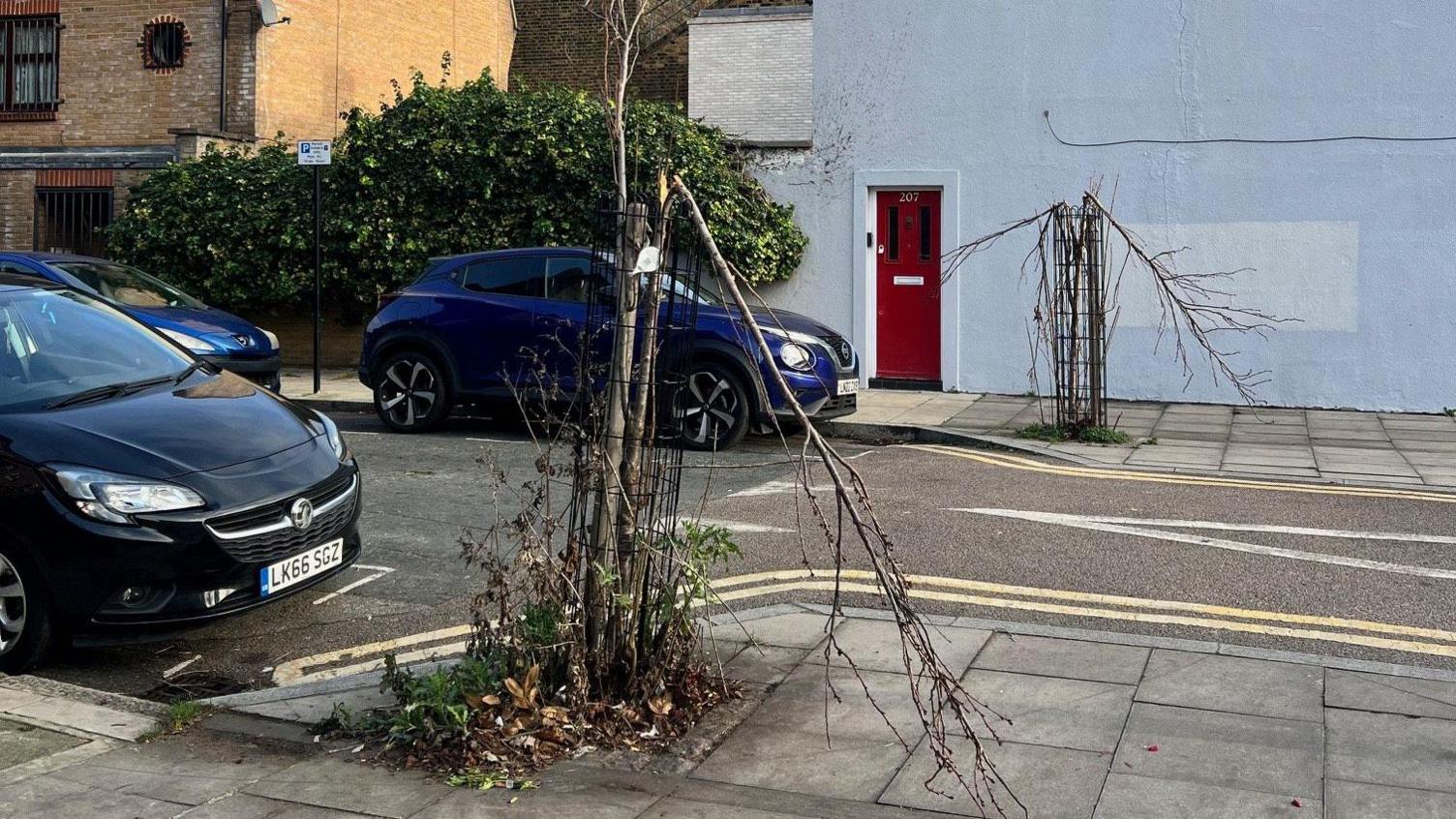 Snapped branches bend down on two young trees covered with black grating on their lower bark, on either side of a road in the borough of Hackney. Parked cars are visible in the background