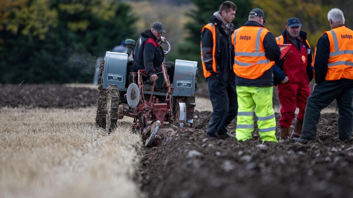 A tractor and plough cut furrows in a field of stubble. A group of judges stand on the furrows.