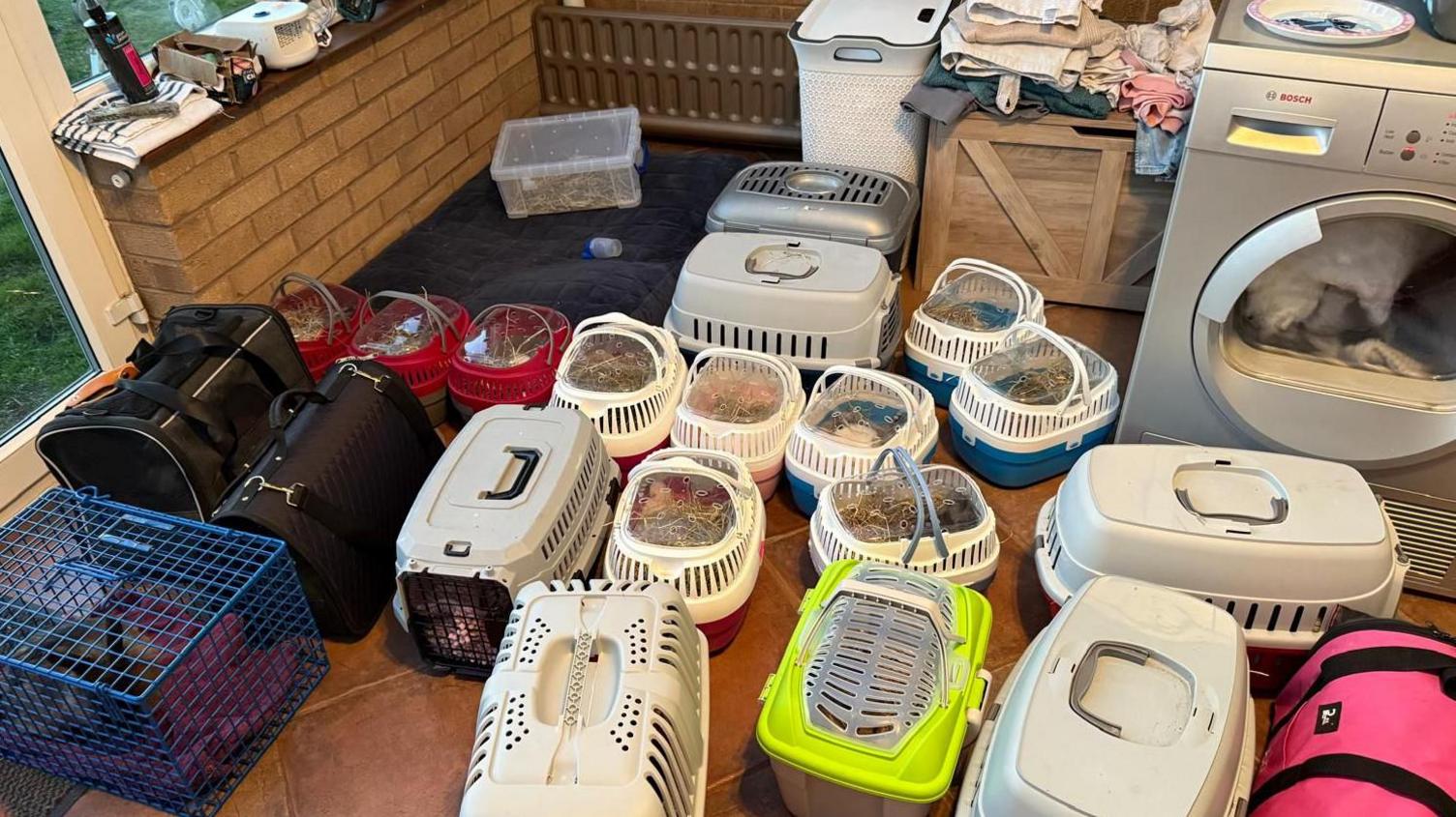 Several animal carriers and crates on a tiled floor
