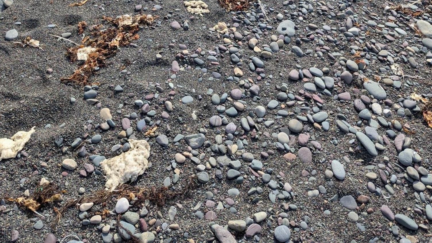 Blobs on the beach