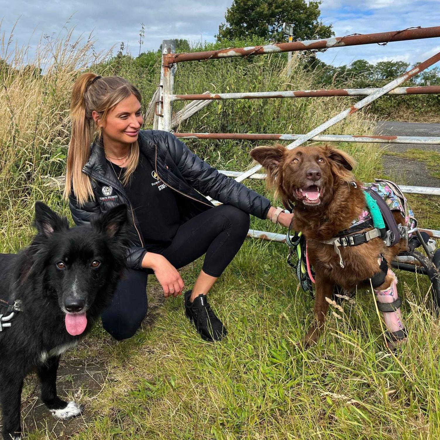 Natalia George crouching next to a gate with two dogs - one black and a brown dog which has a harness on, attached to wheels to replace its rear legs