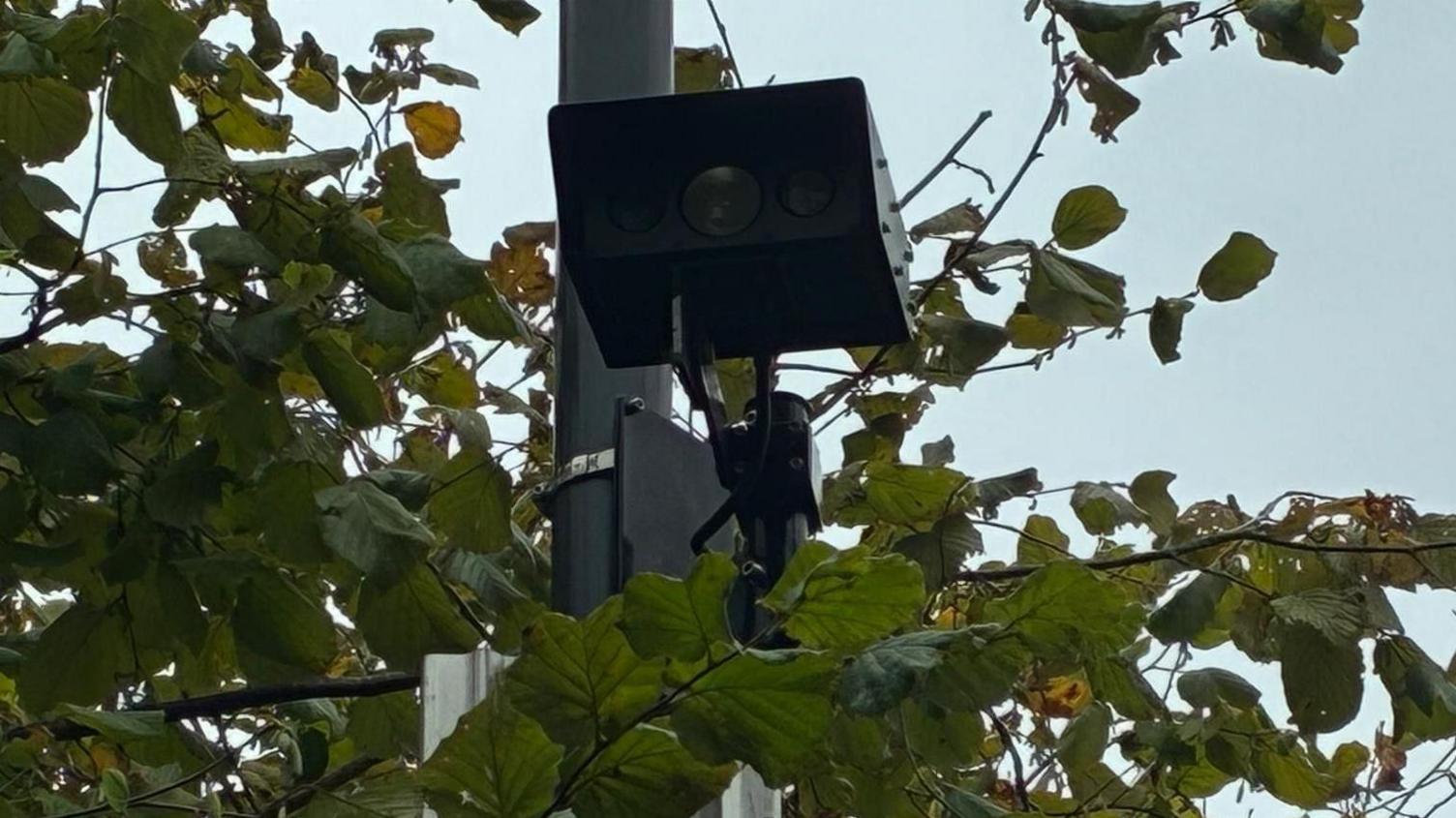 A black bus gate camera surrounded by leaves from trees.