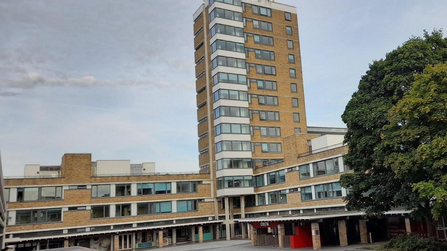 A high rise accommodation block overlooks the university's main square with a large tree at the end.