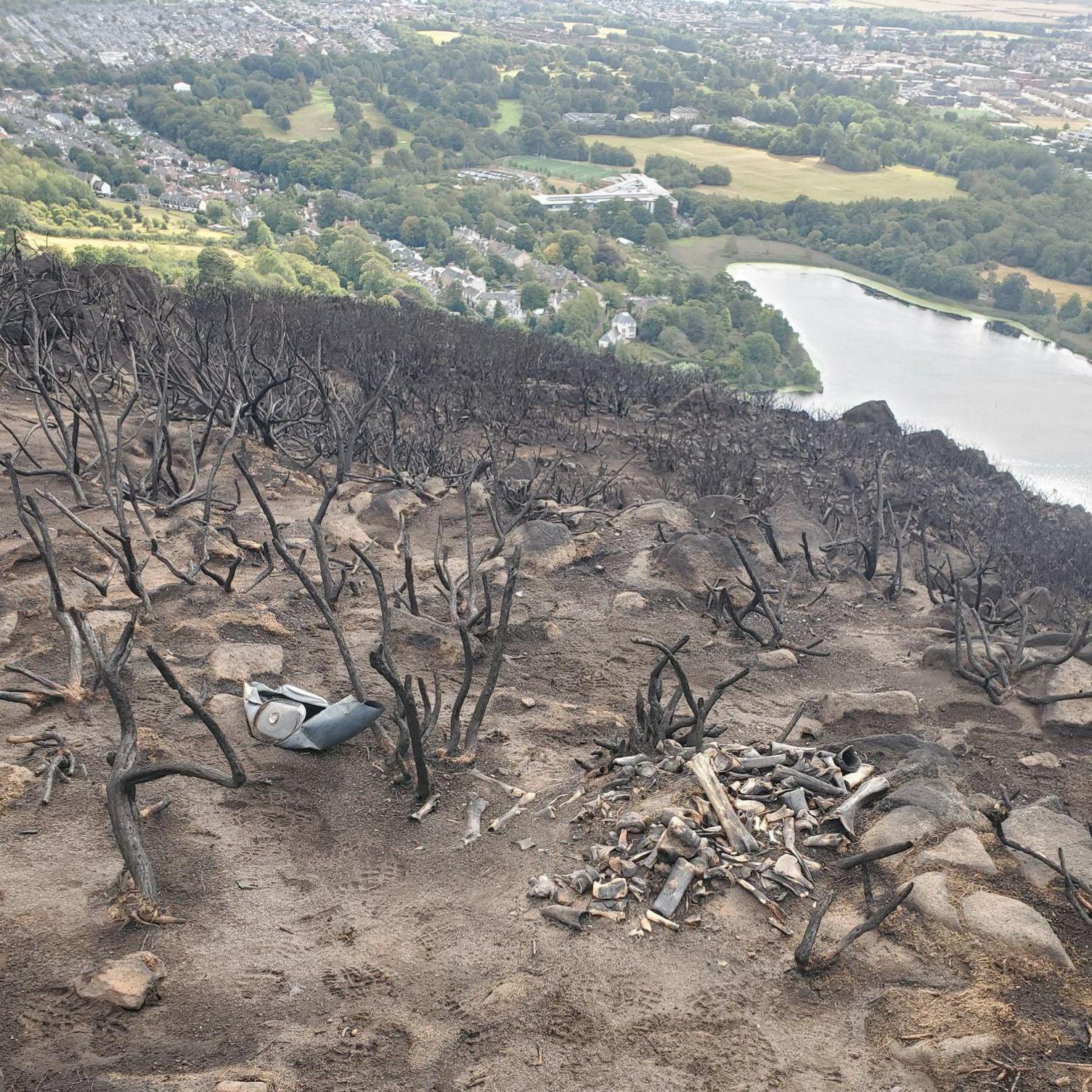 A pile of bones sit on the side of the hill. The hill has been badly damaged by fire, with just burnt branches sticking out of the scorched, bare earth. In the distance, down below, you can see trees and buildings and a loch.