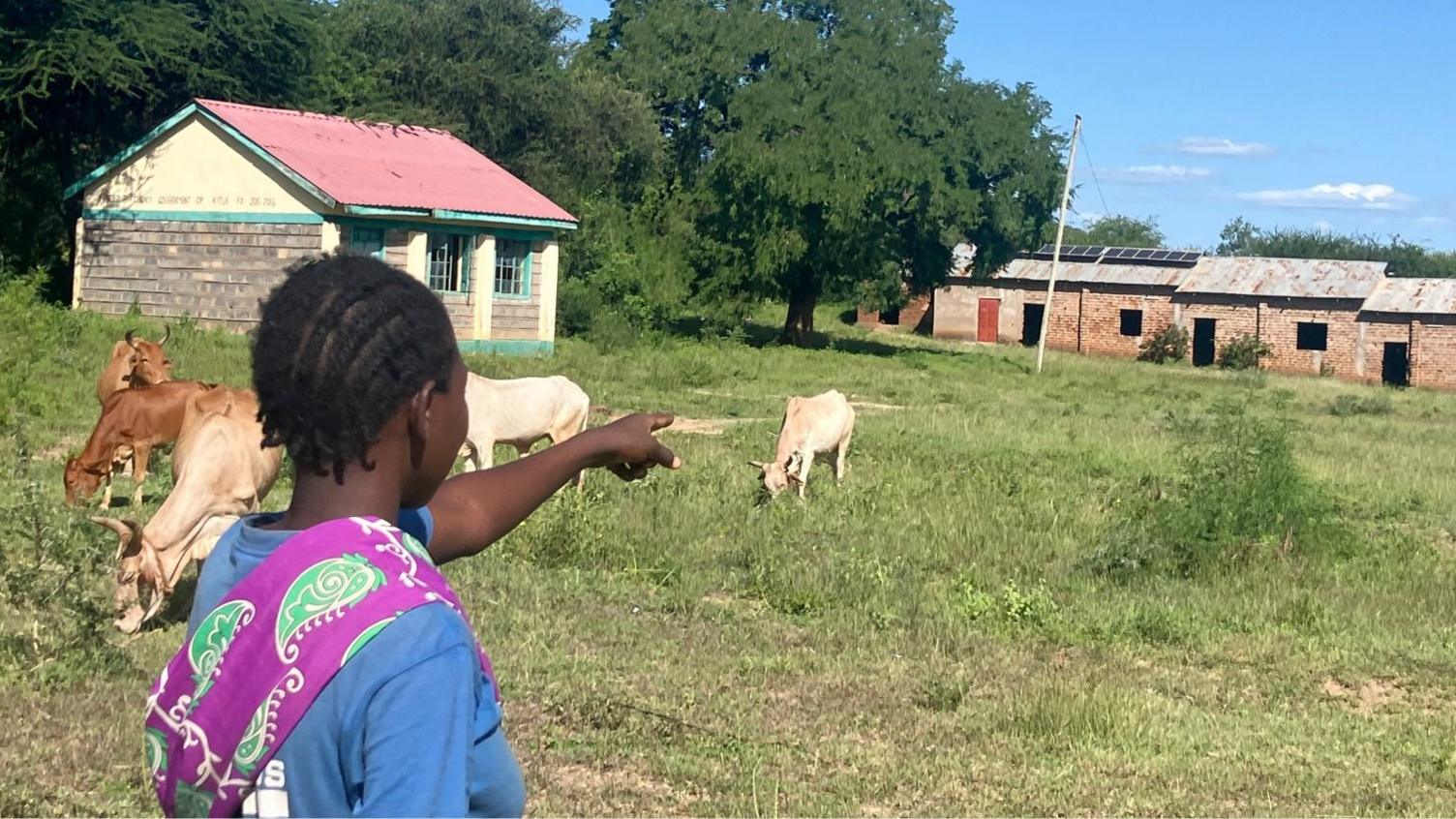 A young girl points across a grassy field in Kaliluni primary where several cows are grazing, with school buildings and large trees in the background