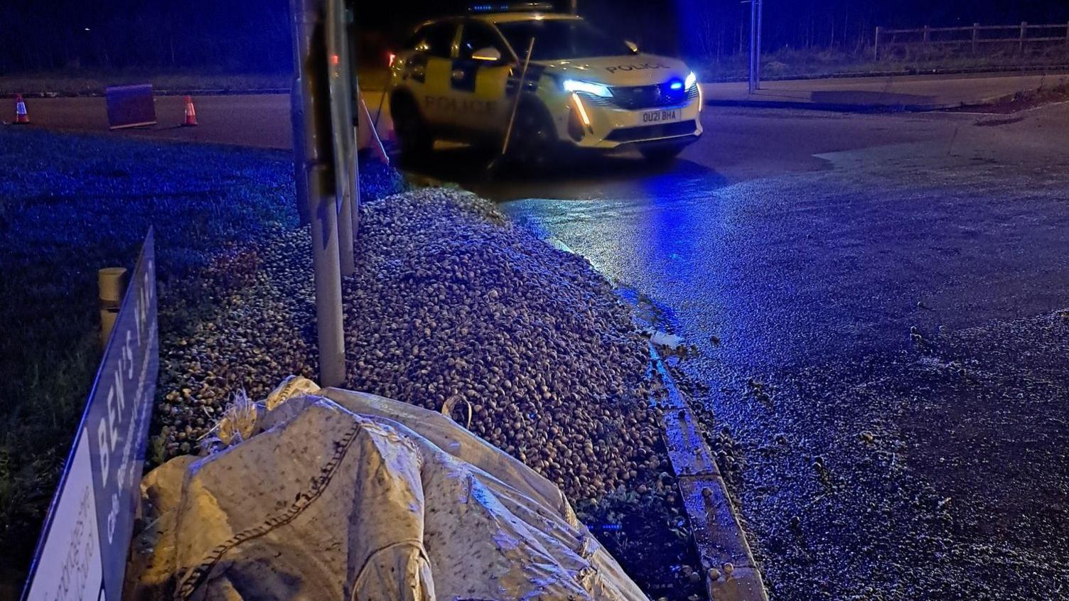 A pile of cockles on a pavement. A sack is in the foreground and to the rear is a police car with its headlights on.