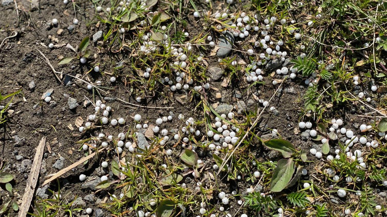 Polystyrene balls on the ground