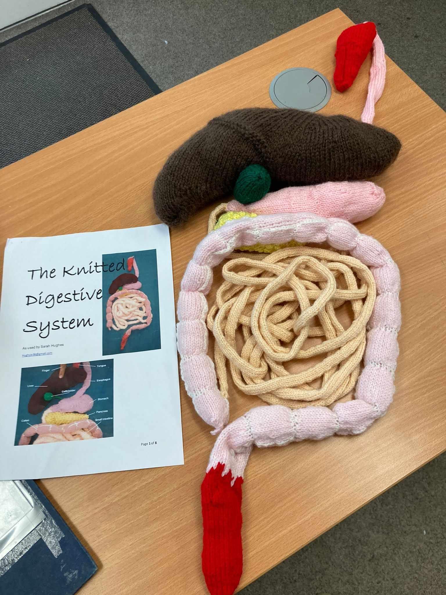 knitted version of the digestive system