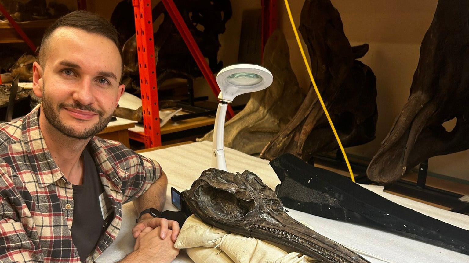 dr Lomax posing with the fossil head laid on a table