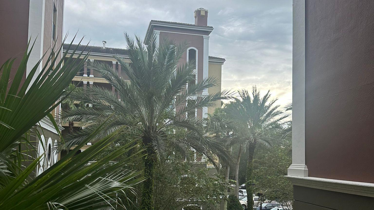 Palm trees outside the Hilton Hotel building in Orlando.