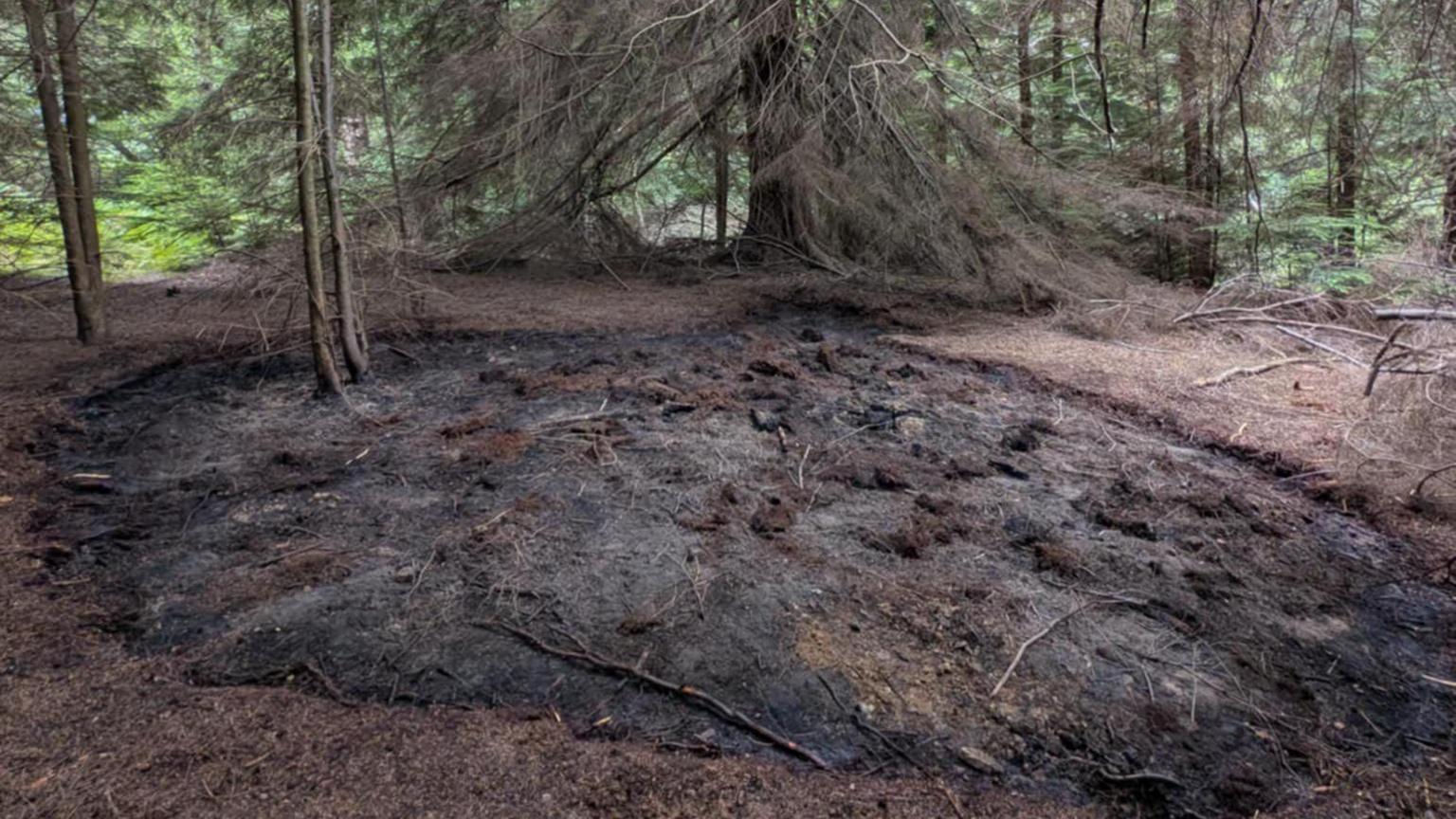 A large circle of burned earth in a forest clearing. There are trees surrounding the area.