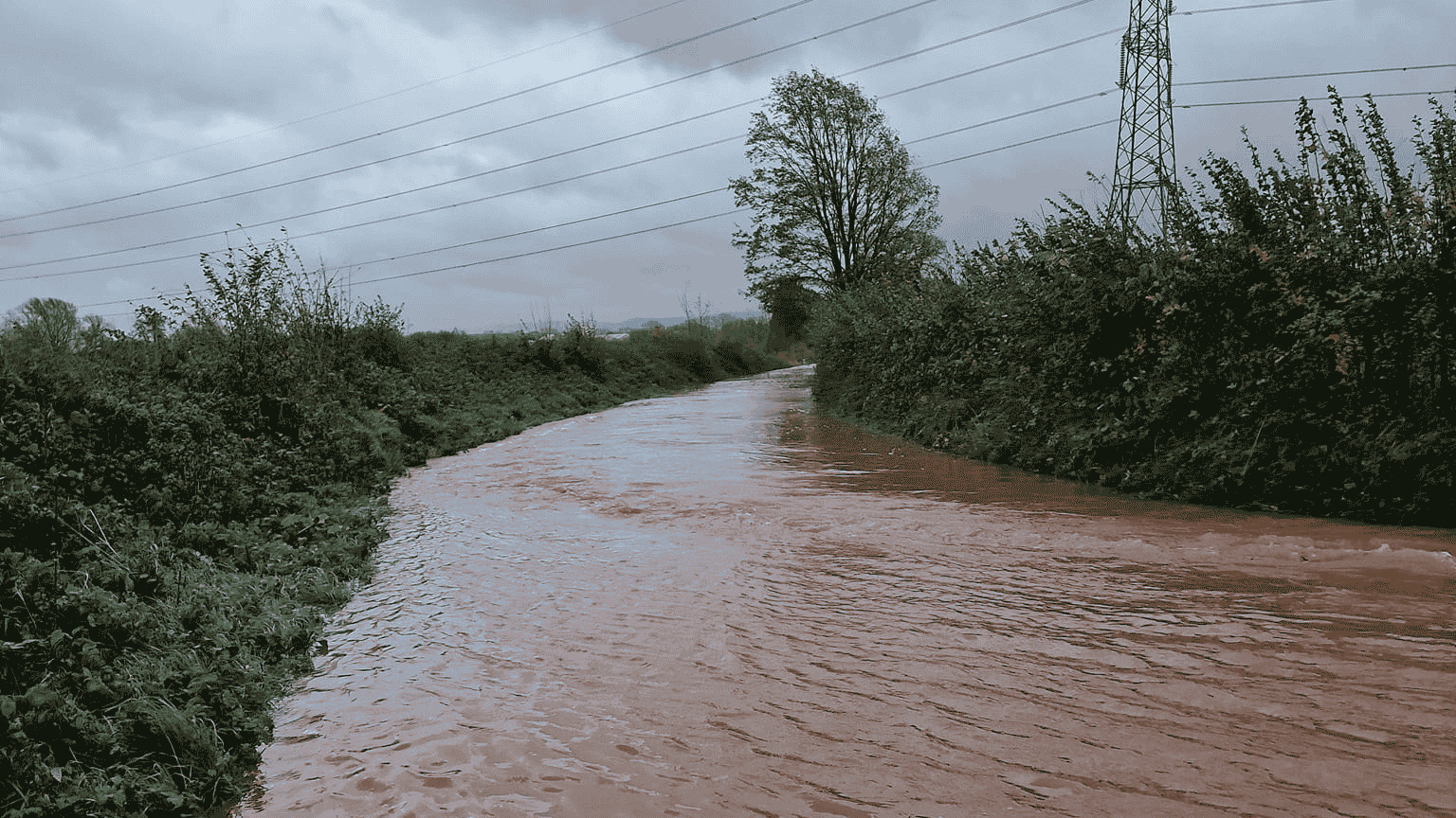 A road which is impassible due to flood water. Hedges and shrubbery are seen both sides of the carriageway. The water is filling the carriageway and is brown in colour.