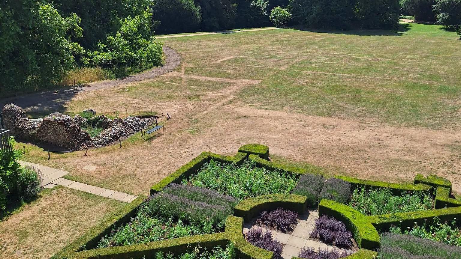 Parch marks on a lawn in front of a modern hedge garden.