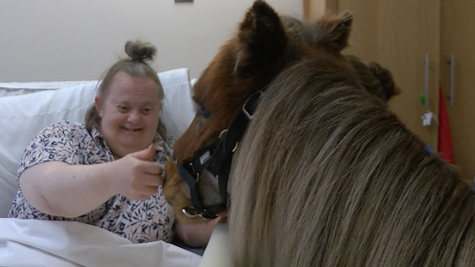 A woman who has downs syndrome is propped up by a pillow and sitting up in her bed.  Her name is Lesley.  She has light coloured hair with a bun on the top of her head.  In the foreground is minature horse Mr Kelloggs.  He is brown in colour with a lighter coloured mane, and is wearing a bridle.  Lesley is reaching out and stroking him on the nose. 