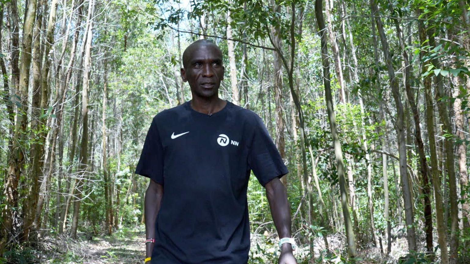 Eliud Kipchoge walks amid a forest of trees