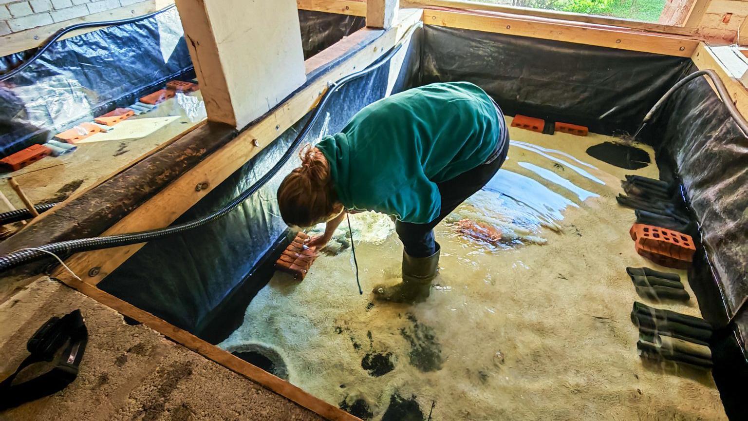 A woman stood inside of its rectangular specialist hatchery. The woman is wearing a green jumper and has her hand in the water. She is wearing wellies. There is water in the hatchery and has white gravel at the bottom.
