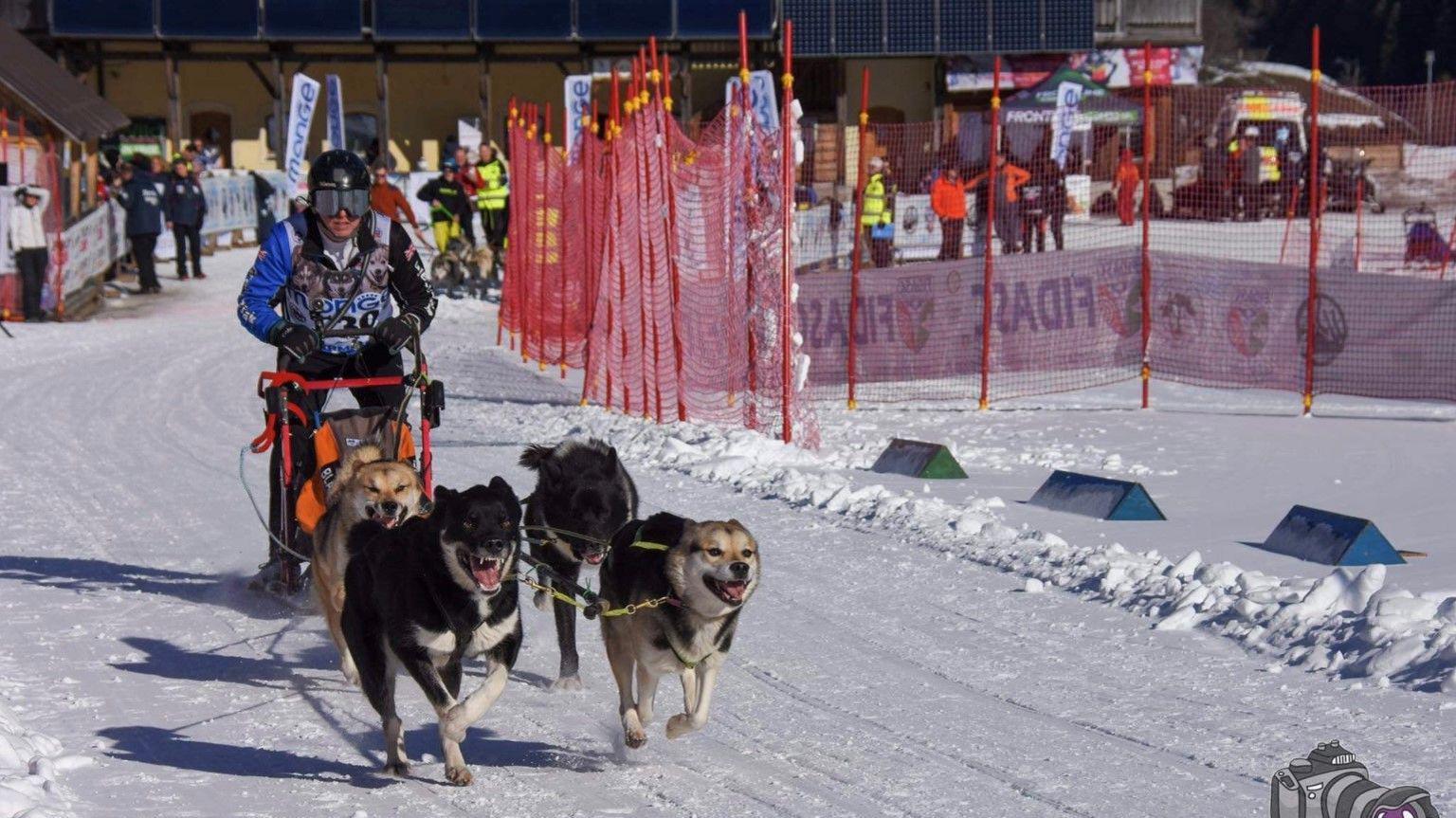 Matt Hodgson wearing black helmet and goggles with four huskies in front of him competing in the snow in a sled dog racing event 