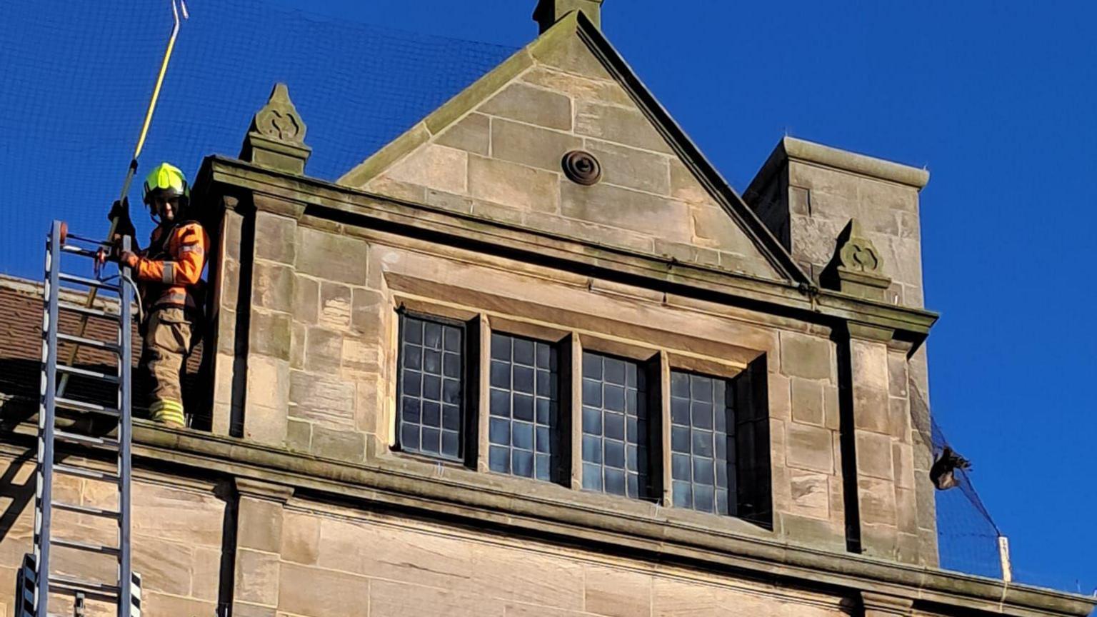 Fire officer stood on ledge of HSBC building to rescue trapped bird