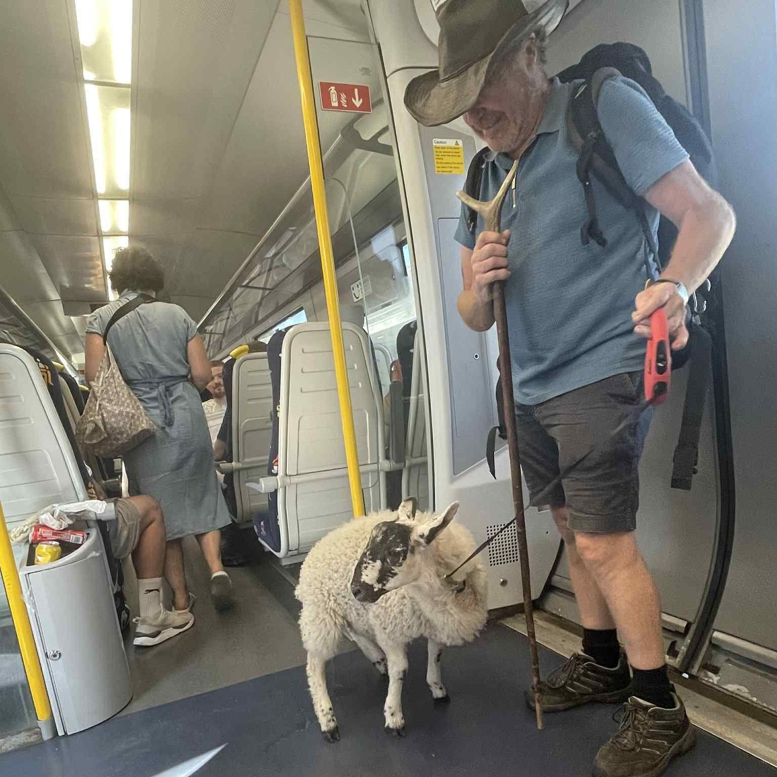 Another photo from Michelle of Jai and NJ stood near the doors of the train. H had the sheep on a long retractable dog lead.