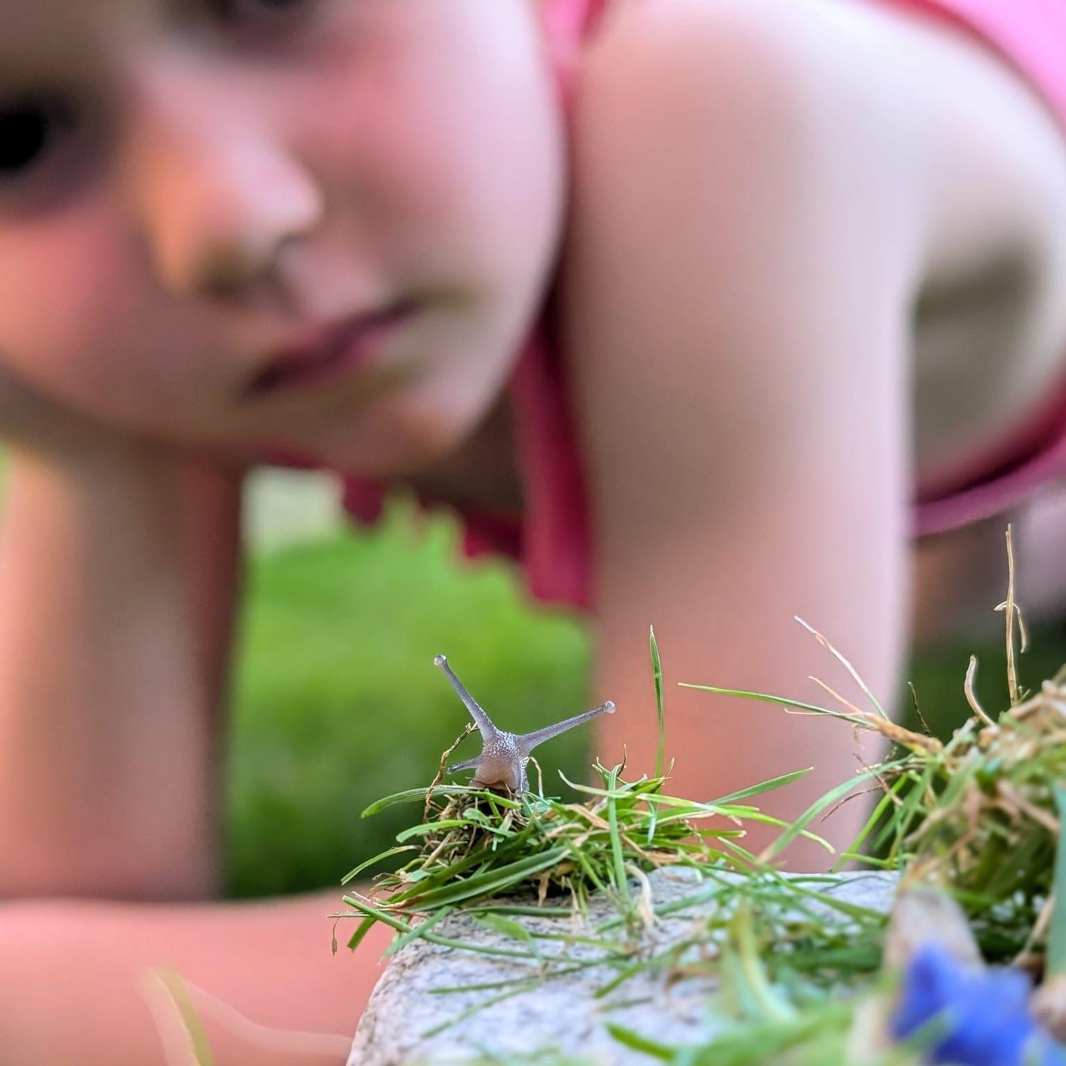 Snail being watched by young girl