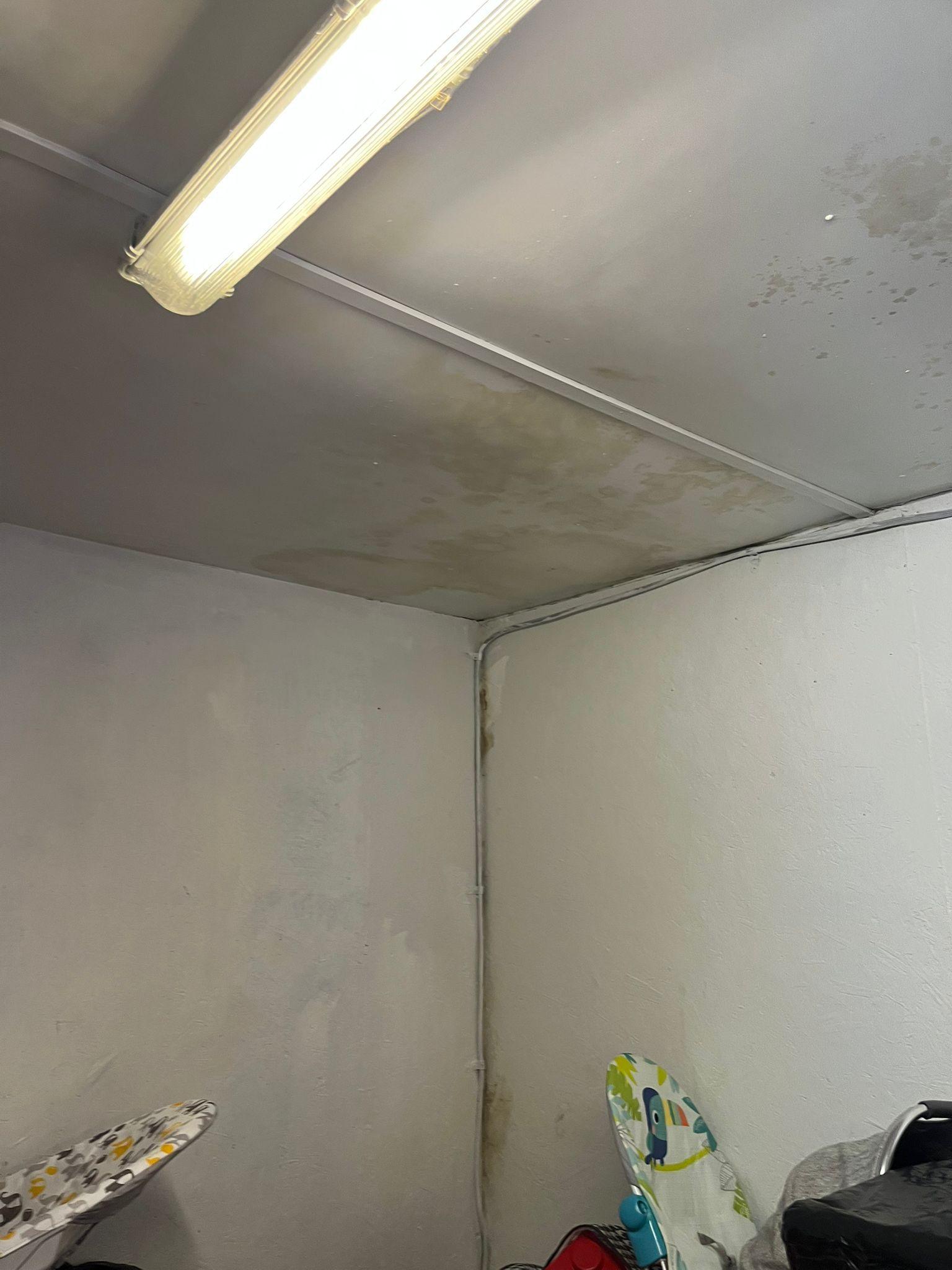 A white wall and ceiling covered in mould and damp patches