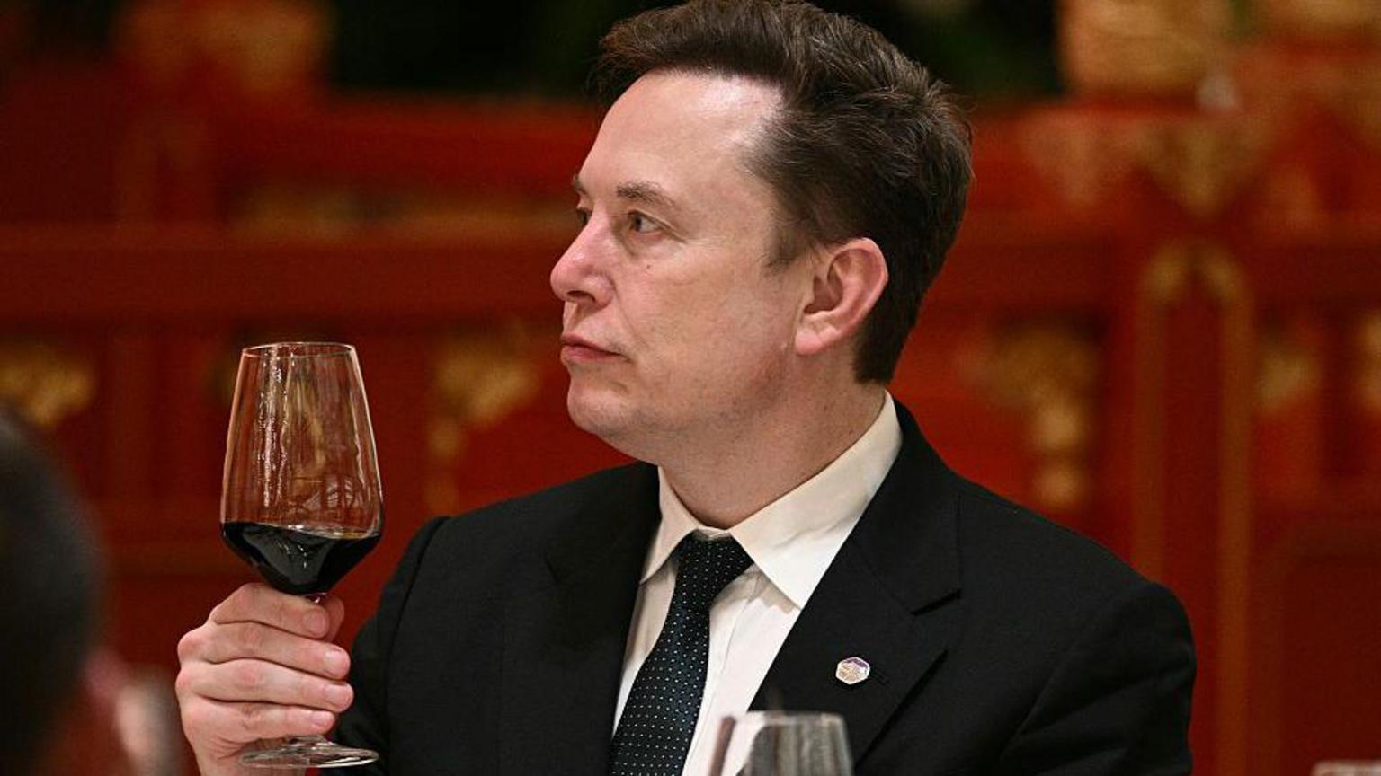 'Let's enjoy the ride' says Elon Musk, as AI fears mount