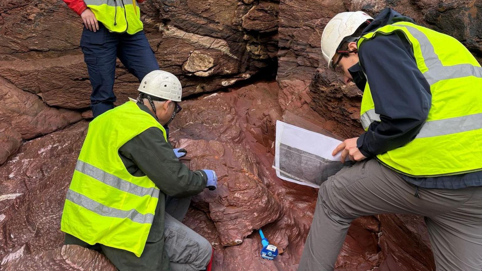 A picture of three people around the brown fossil. They are all wearing a hi-vis jacket and hard hats.