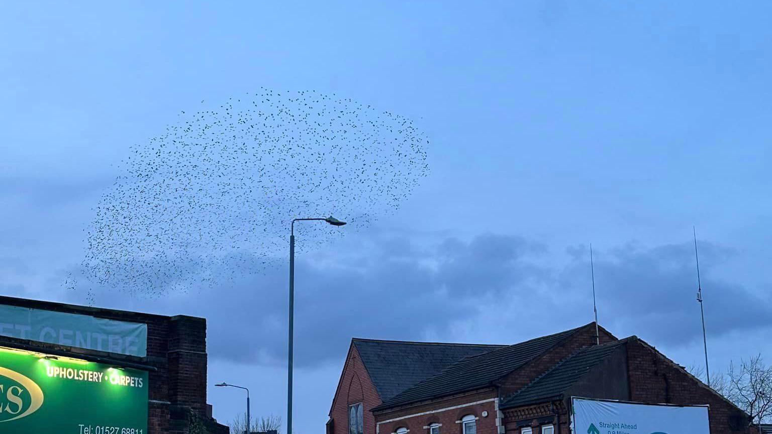 Picture of the murmuration