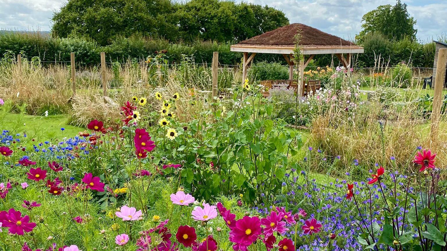 The garden with lots of flowers, grasses and a wooden structure.