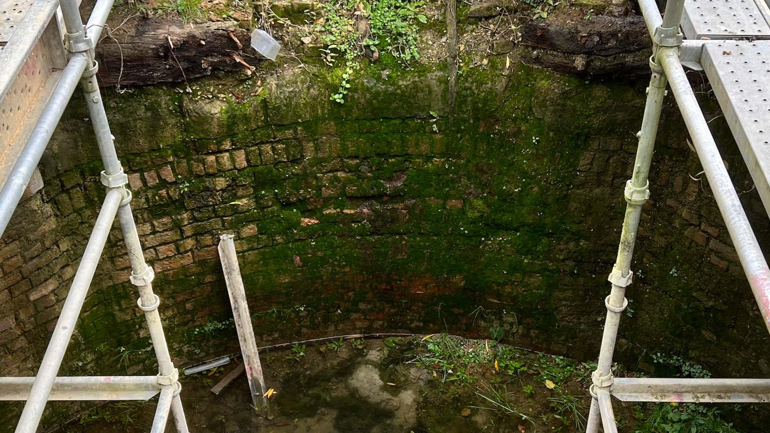 A brick wall covered in dark green moss, with scaffolding on either side.