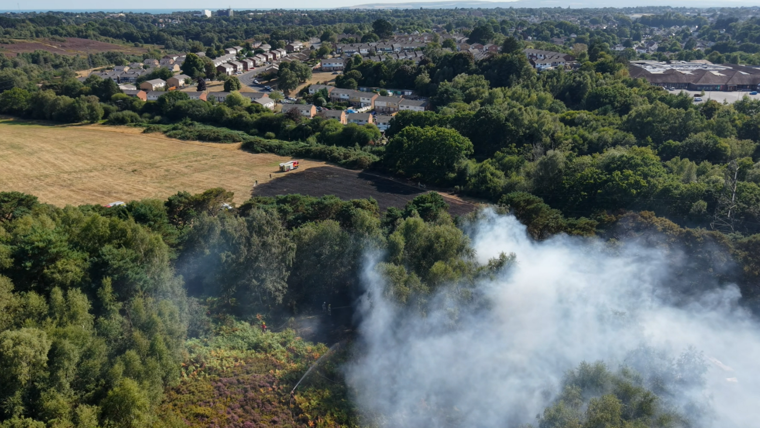 Drone footage which shows smoke from the grass fire and a large patch of blackened ground close to hedges with homes on the other side of it.