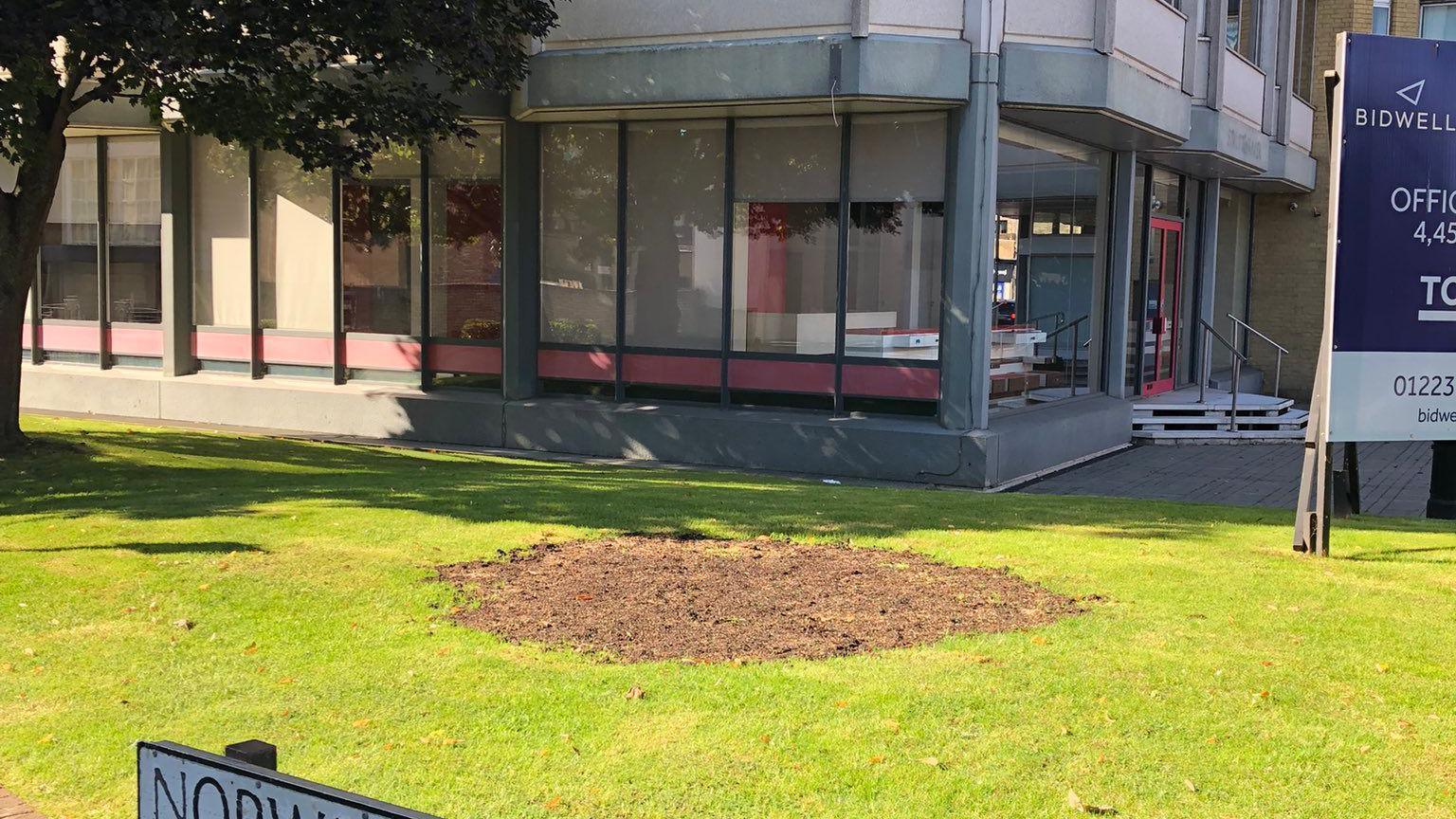 An image of the spot where the Cambridge Don statue had been located. It shows a grass area with a large brown muddy section where the statue once stood. A building can be seen behind it, a tree sits to the left and there is a sign partially on show.