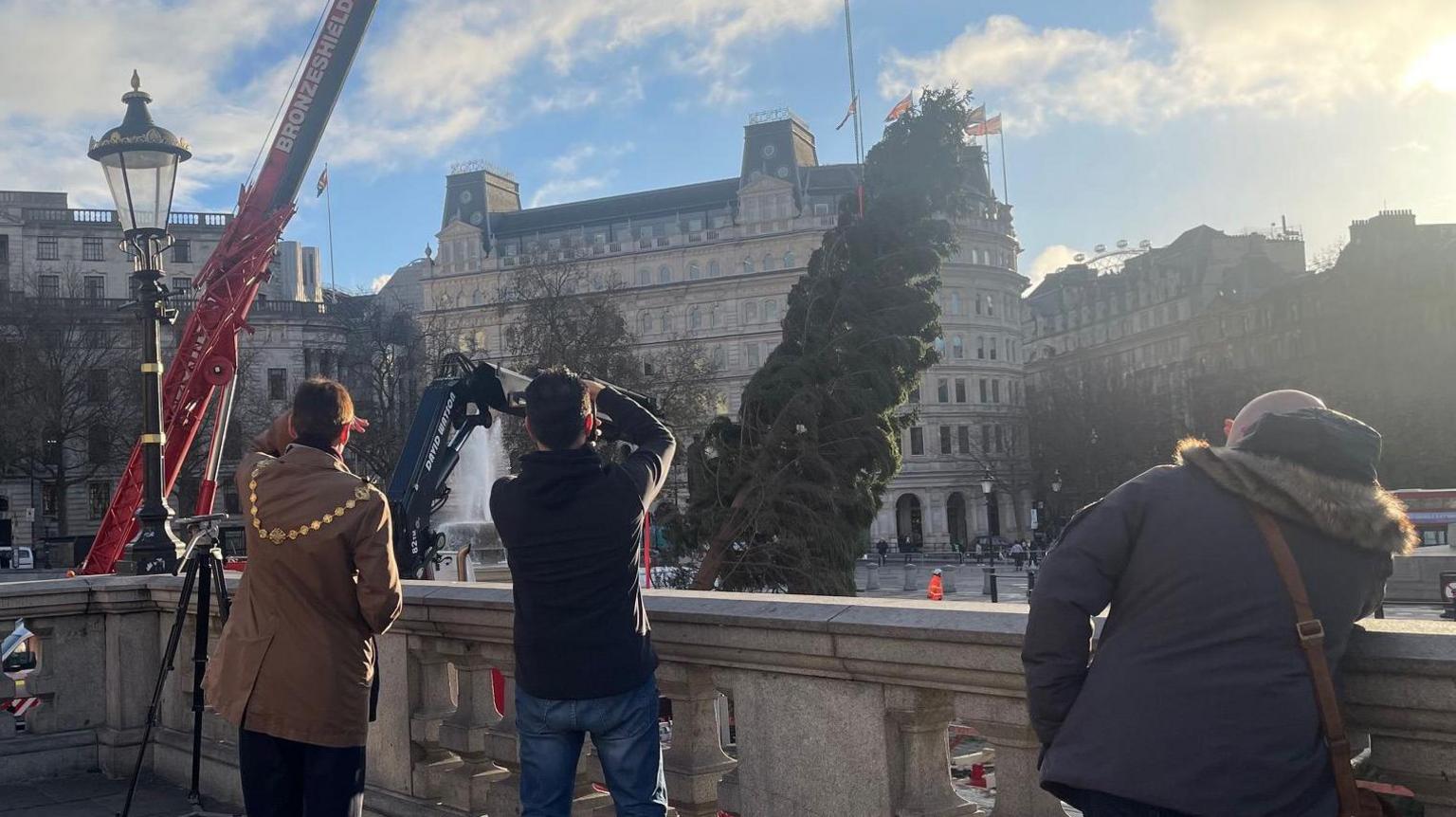 The tree being hoisted up with the Lord Mayor looking at it. 