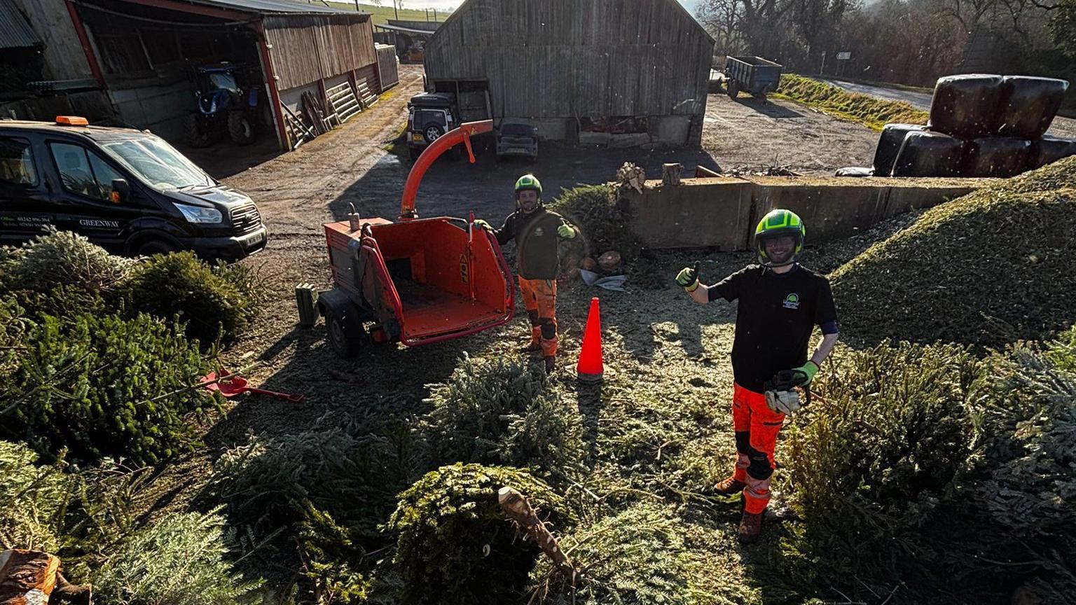 Two people are standing amongst Christmas trees on the ground. They are wearing protective gear and are giving a thumbs up to the camera.