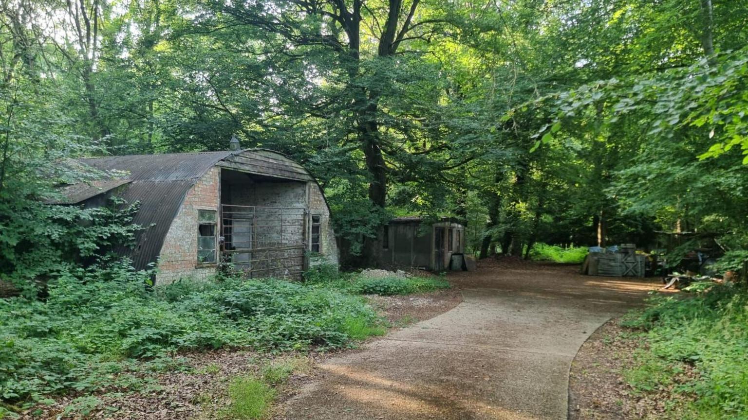 A track going through a forest with a pair of dilapidated Nissen huts on the left hand side.