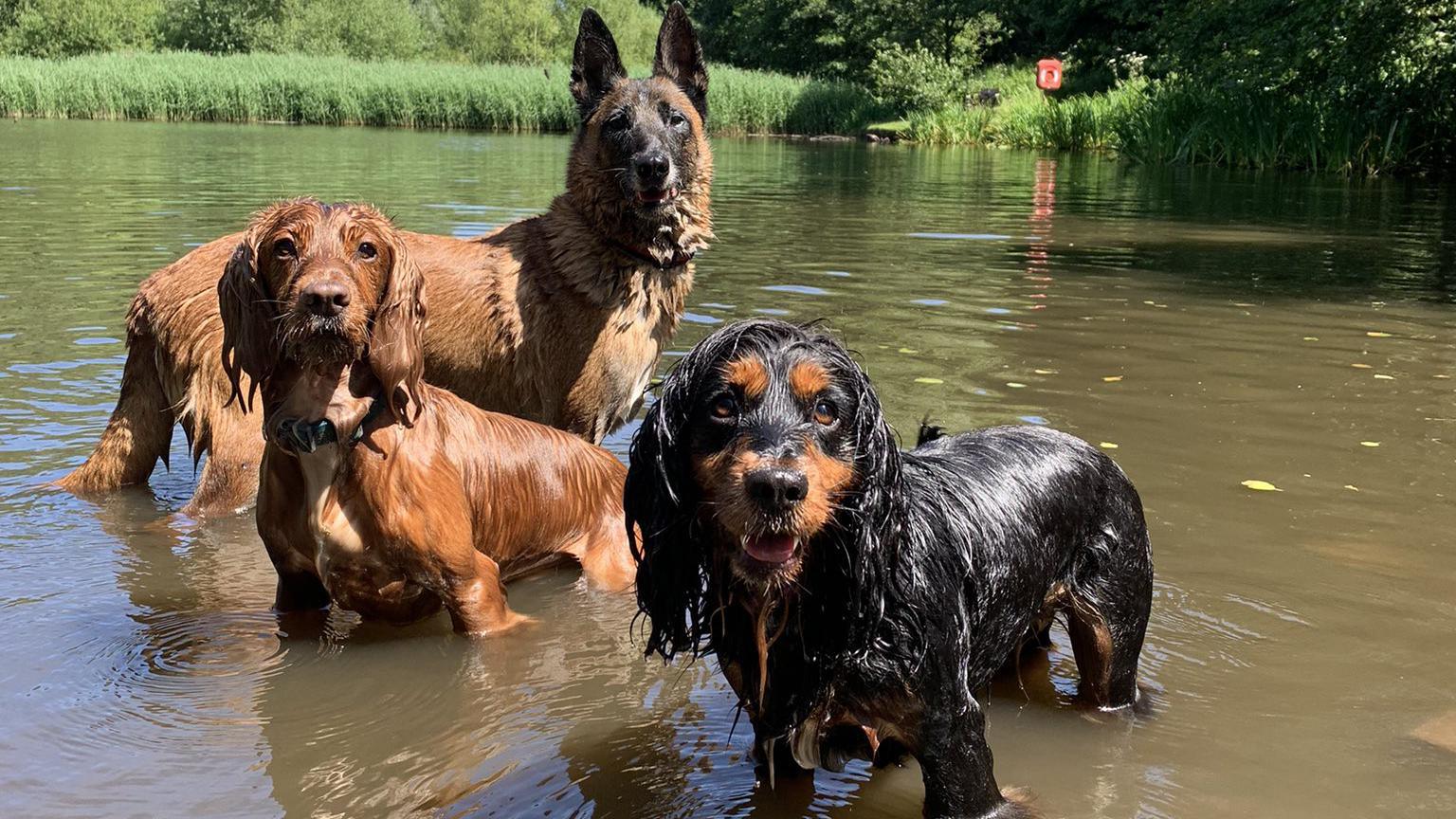 Kai and his brothers