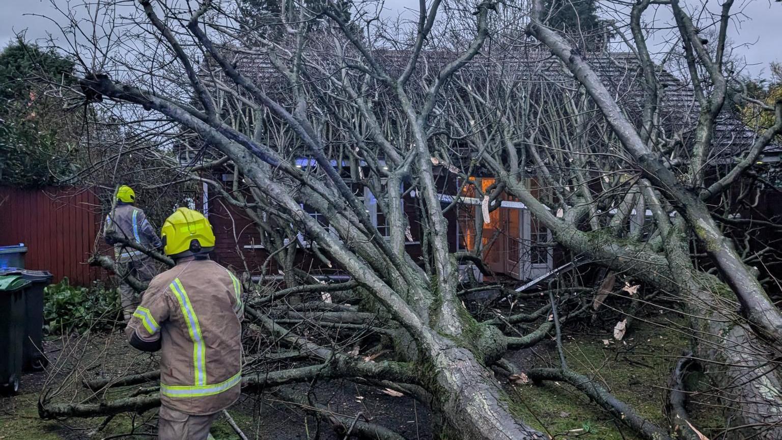 Two people in safety equipment attempt to clear a large tree that has fallen on a bungalow in Tipton. The door is just about visible through the branches