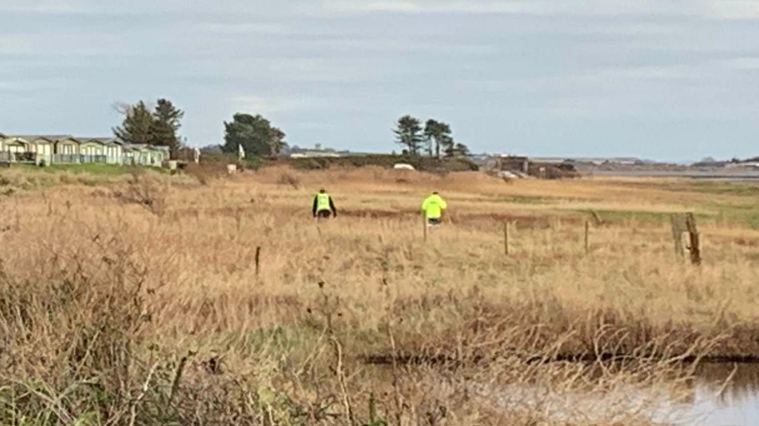 Two people in fluorescent yellow jackets in the distance looking among long grass. There are some trees and green caravans in the far distance