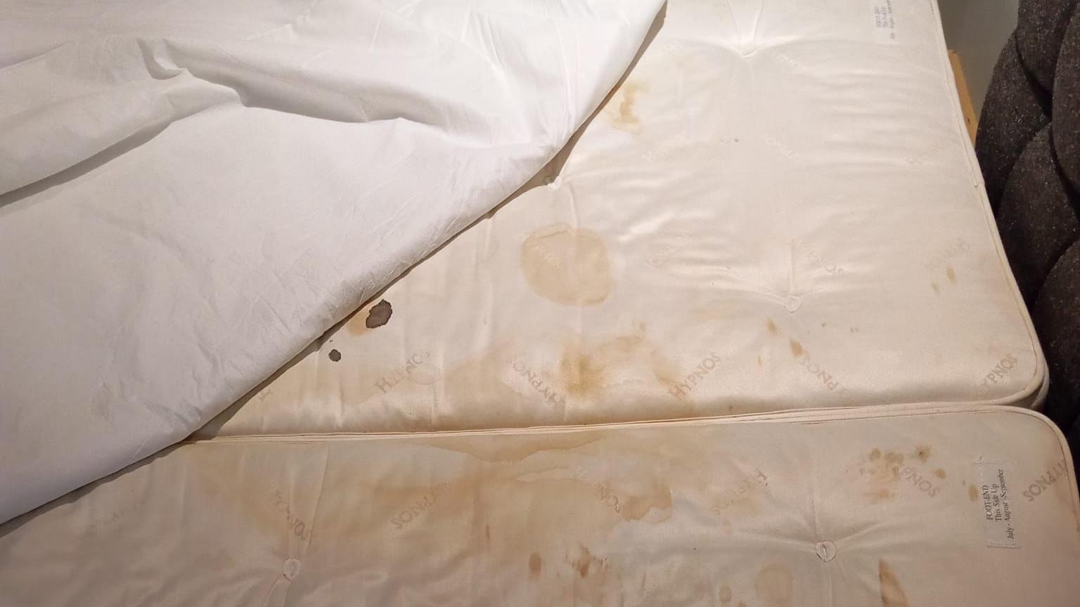 An image showing two mattresses, sheets pulled back with stains on them including what appears to be blood
