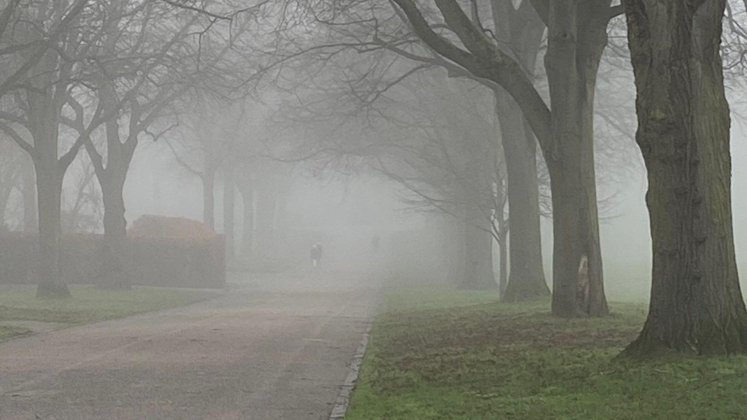 Shrewsbury's Quarry park, covered in mist and fog. You can see a footpath and some trees, but the landscape beyond the foreground is swallowed up by the gloomy weather. 