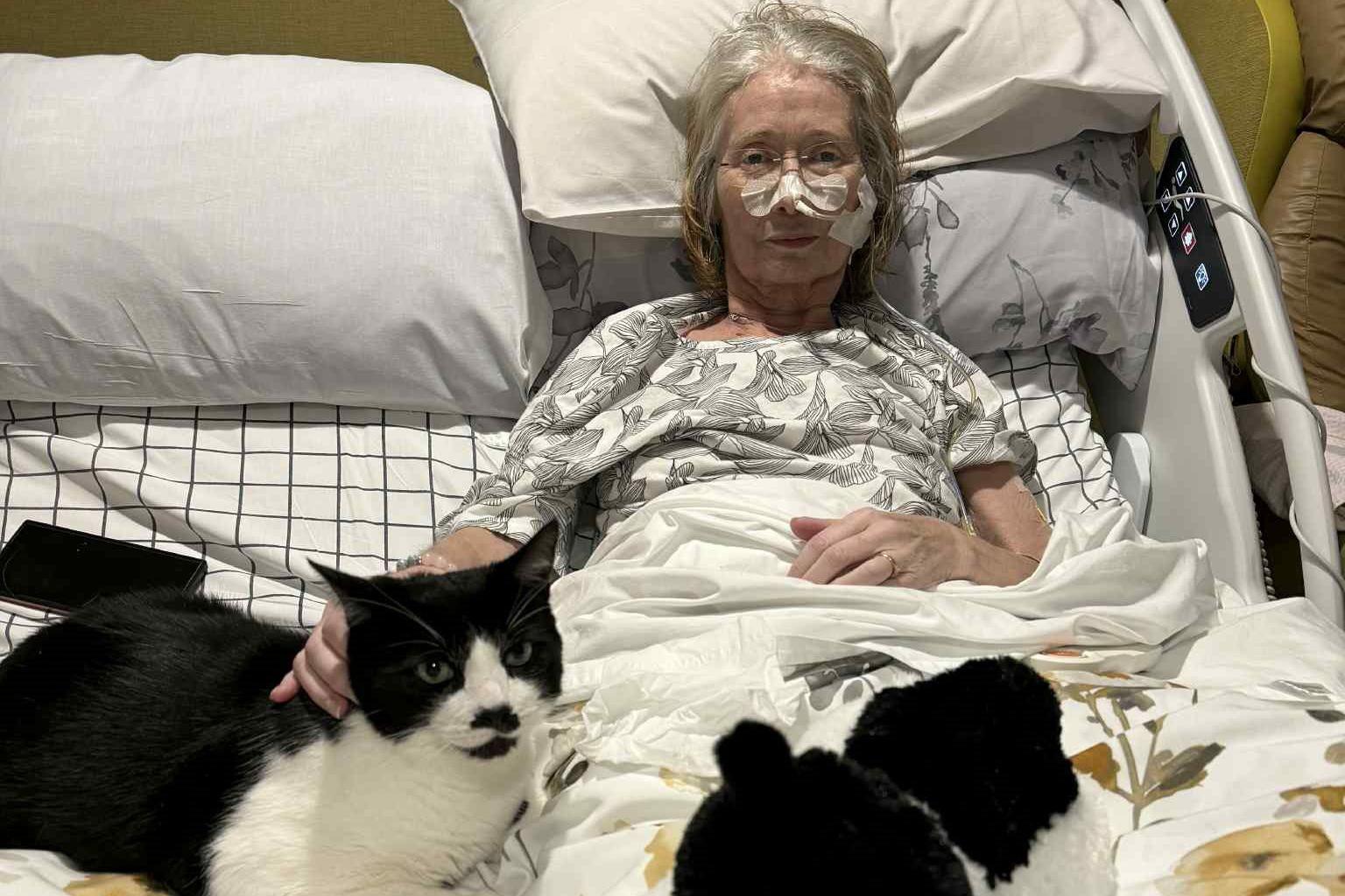 Rowena is sitting in a hospice bed - it looks similar to a hospital bed, with a tube attached to her nose, with micropore tape holding it in place. She is wearing a black and white top and is under the sheets. She is stroking her cat, who has been brought into the hospice. The cat is mostly black with patches of white. Rowena, who has mid length grey hair combed back and wears glasses, is looking into camera with a slight smile on her face. 