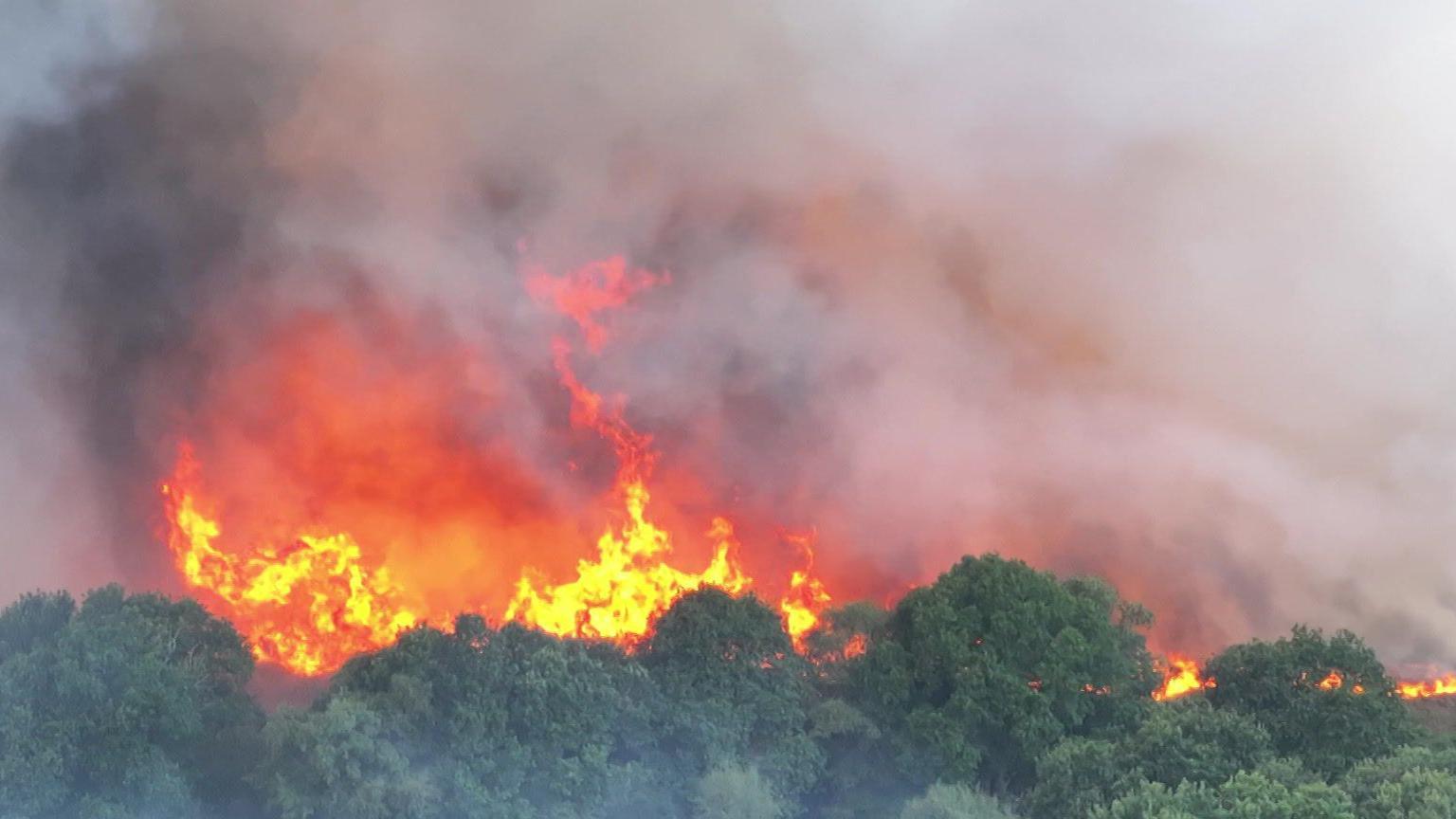 Orange and red flames in the trees and white smoke flowing up into the sky seen from above a large fire on a heath.