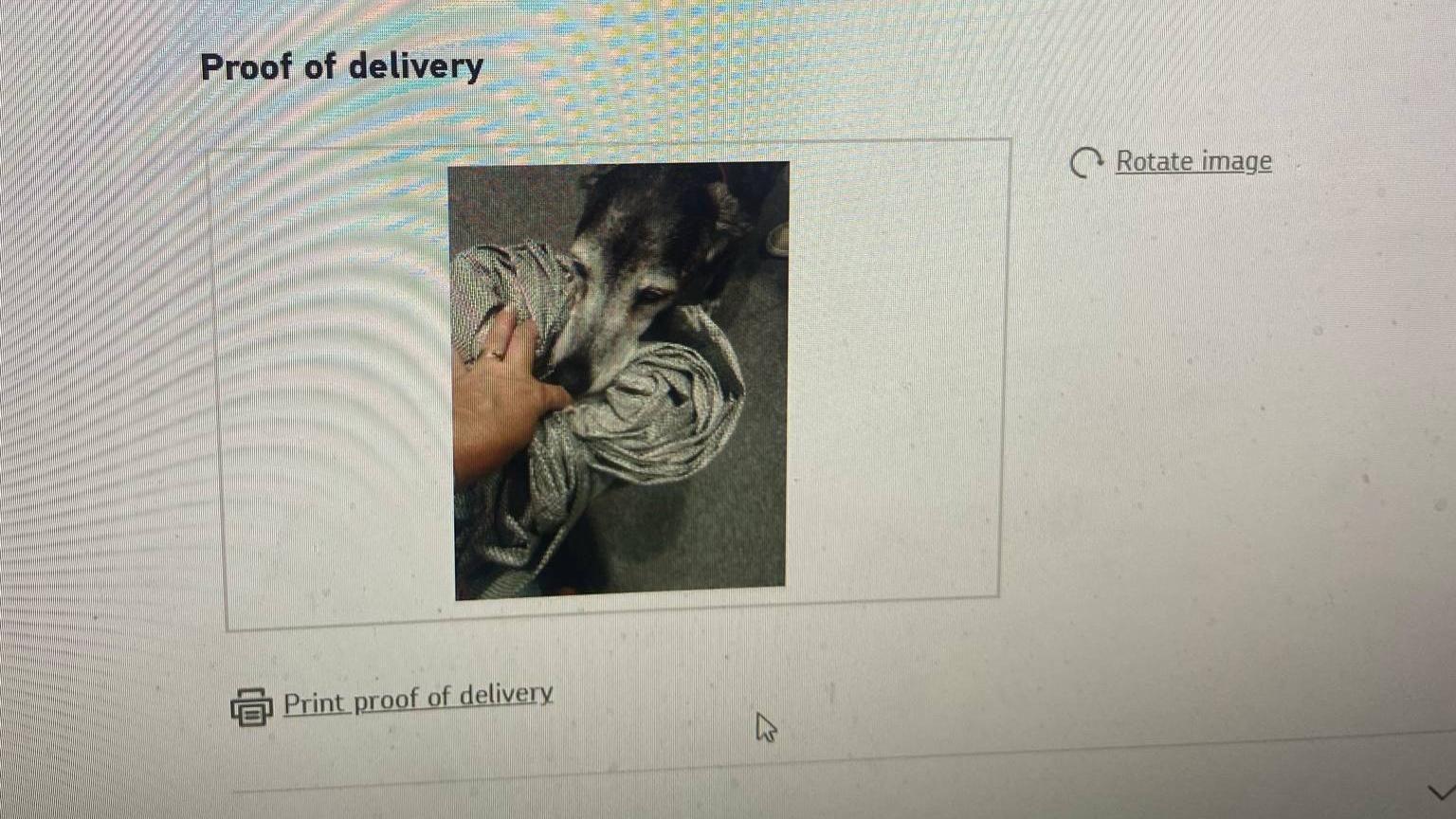 A screenshot of a proof of delivery email. On the email is a photo of Abbie taking a grey parcel from the delivery person's hand.