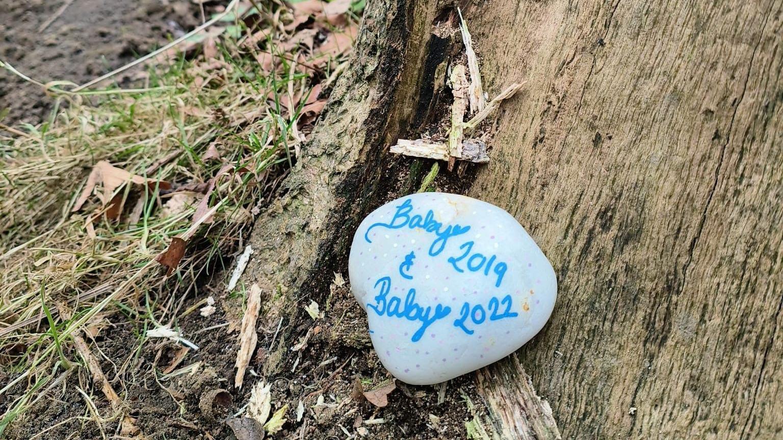 A stone which has been painted light blue with the words 'Baby 2019 and Baby 2022' painted on in a darker blue. It's leaning against a tree trunk.