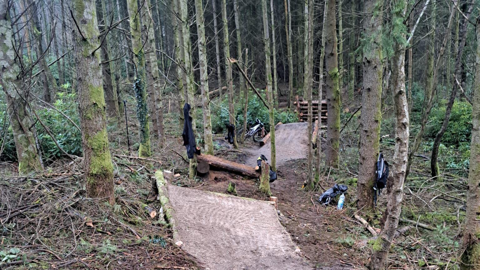 A man-made bike trail in a pine forest. The track is smooth with jumps gaps and drops.